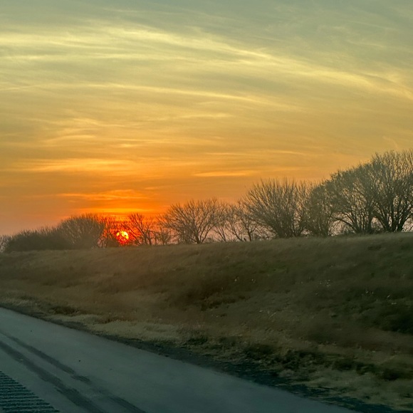 Meet your Posher, Emma - Picture 1 of 1